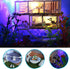 DIY Miniature Dollhouse Kit - Tiny House with Furniture and Dust Proof, 1:24 Scale Beachside Bungalow