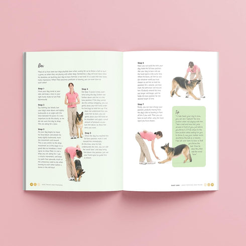 Hinkler Dog Tricks and Training Box Set, Pet Care Guide, Dog Training Essentials, Access to Online Training Videos,