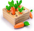 Ancaixin Montessori Toys for Babies 6-12 Months, Educational Carrot Harvest Toy, Wooden Shape Sorting Puzzle Gifts