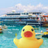 Novelty Place 12Pcs Rubber Duck Float Ducky Baby Bath Shower Toy, Yellow Mini Bath Duckies