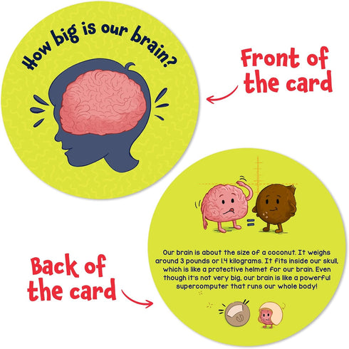 Skillmatics Science Kit The Human Body - STEM Learning Resource for Boys & Girls, Educational Gift for Ages 7+