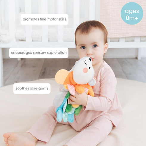 Pearhead 0m+, Hedgehog Sensory Toy, Plush Lovey with Crinkle Tabs and Silicone Teether for Babies Infant Development