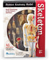 Learning Resources Skeleton Model, Science Classroom Must Haves, STEM Student Essentials, Practice Anatomy, Back