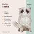 10.5" Bearington Cat Stuffed Animal - Ralistic Cat Plush Lifelike Himalayan Kitty Plushies That Look Real - Tasha