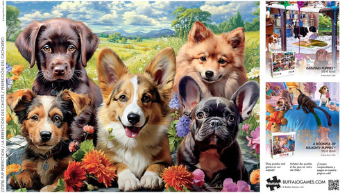 Buffalo Games - Image World - Pup Perfection - 750 Piece Jigsaw Puzzle for Adults - Perfect for Game Nights, 24.00 x
