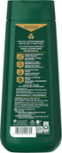 Irish Spring Mountain Chill Body Wash - Refreshing Clean