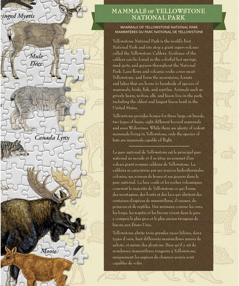 MasterPieces 1000 Piece Jigsaw Puzzle - Mammals of Yellowstone National Park, 19.25" x 26.75" for Adults, Family, or