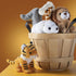 Set 5 3-5+ PREXTEX Safari Friends Stuffed Animal Gift - Small Plush (Giraffe, Tiger, Lion, Polar Bear, Elephant) Zoo
