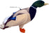 18" Adore Drake Mallard Duck Plush Stuffed Animal Walltoy Wall Mount