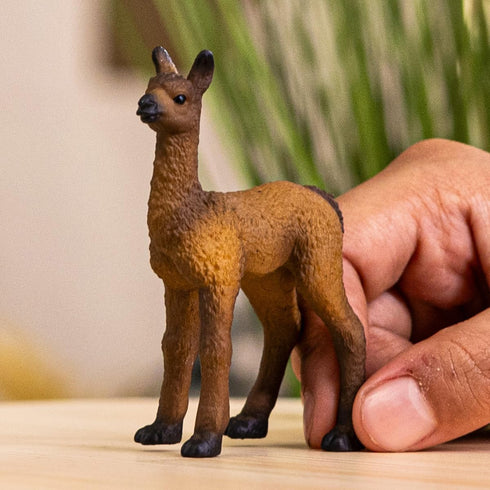 2" 3+ 14890 Schleich Farm World - Baby Llama Toy for Kids. Realistic, Hand-Painted Farm Animal Toys for Boys and Girls.