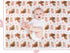 Highland Cow Lovey Baby Blanket for Boys Girls Soft Fleece Minky Blanket with Dotted Backing Double Layer Newborn Toddler Blankie for Nursery Stroller Crib Gift to Son Nephew Grandson 26.5 * 40 Inches by DCOOLGO