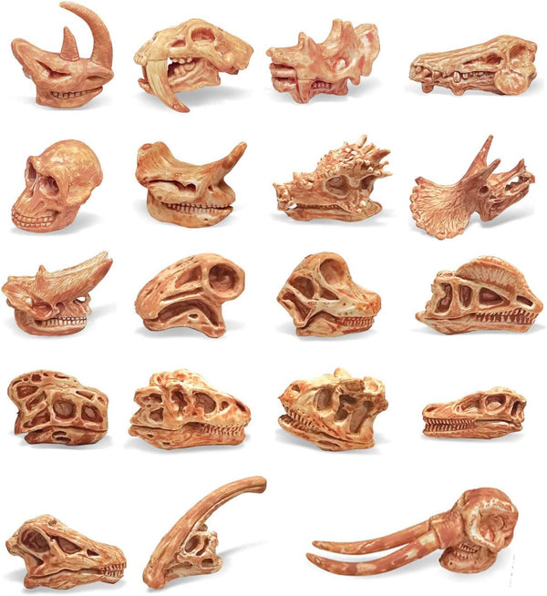 19 PCS Mini Mammal Skull Set, Realistic Dinosaur Bones Playsets for Prehistoric Animals Collection