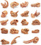 19 PCS Mini Mammal Skull Set, Realistic Dinosaur Bones Playsets for Prehistoric Animals Collection