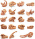 19 PCS Mini Mammal Skull Set, Realistic Dinosaur Bones Playsets for Prehistoric Animals Collection