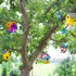 hapray 2 Pack Bird House Kit, DIY Wooden Crafts for Children to Build and Paint