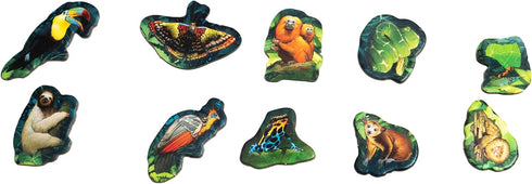 Canopy Card Game - Fast and Fun Gameplay with 25 Unique Rainforest Species, Solo or Multiplayer for Ages 8+