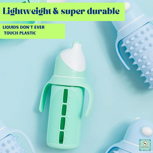 Set 2 8 oz Tabor Place of - Glass Sippy Cup for Toddlers - The Luca | Spill-Proof | Silicone Straw | Mint Green