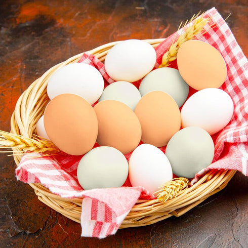 15 Eggs,3 Eggs,Dummy Pcs Wooden Fake Colors Wood Eggs,Fake Chicken Eggs Help Laying Hen,Nest Eggs for Crafts,Nesting
