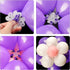 Tinabless Balloon Decorating Strip Kit for Garland, 32Ft Balloon Tape Strip, 1 Tying Tool, 100 Dot Glue & 15 Balloons