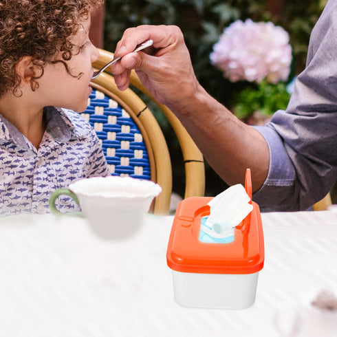 Ipetboom 8.26X5.11X3.38 Inch Baby Wipes Dispenser Plastic Box with Lid Refillable Wipe Holder Lightweight Portable