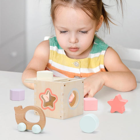 Set 12M+ 4-in-1 Pillowhale Montessori Wooden Toys for Toddlers Educational Toy with Stacking Rings, Shape Sorter, Bead