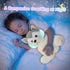 Houwsbaby 12'' Gray Light Up Husky Stuffed Animal Dog, Floppy LED Plush Toy Puppy Night Lights Glow Pillow for Kids