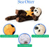 18 inches The Petting Zoo Sea Otter Stuffed Animal with Star, Gifts for Kids, Wild Onez Ocean Animals, Sea Otter Plush