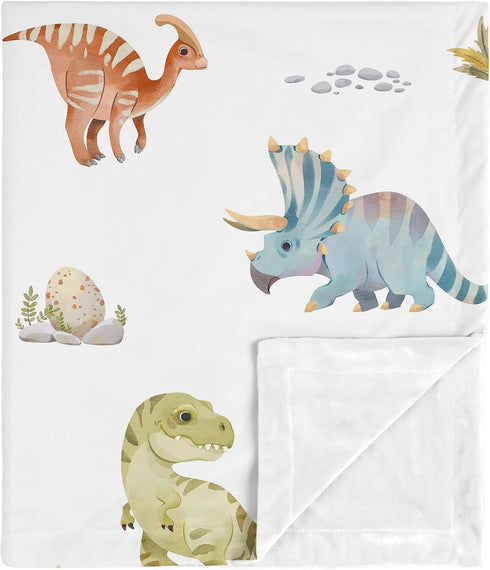 Sweet Jojo Designs Watercolor Dinosaur Dino Boy Soft Baby Blanket Receiving Security