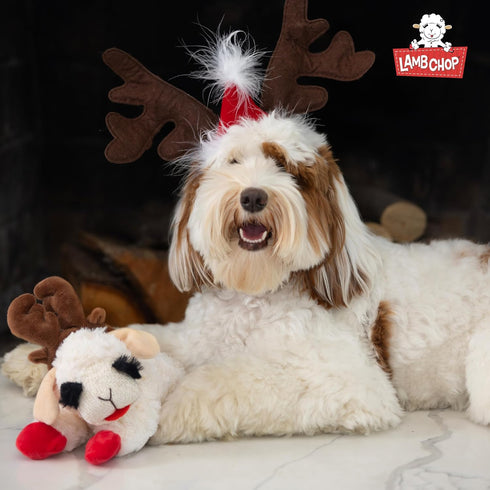 Multipet Lamb Chop Dog Plush Toy with Santa Hat - Squeaky Toy for All Dogs, Extra Soft Plush (10.5”, Cream)