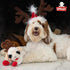 Multipet Lamb Chop Dog Plush Toy with Santa Hat - Squeaky Toy for All Dogs, Extra Soft Plush (10.5”, Cream)