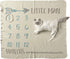 Primitives by Kathy Baby Milestone Blanket, 42" x 36", Little Man