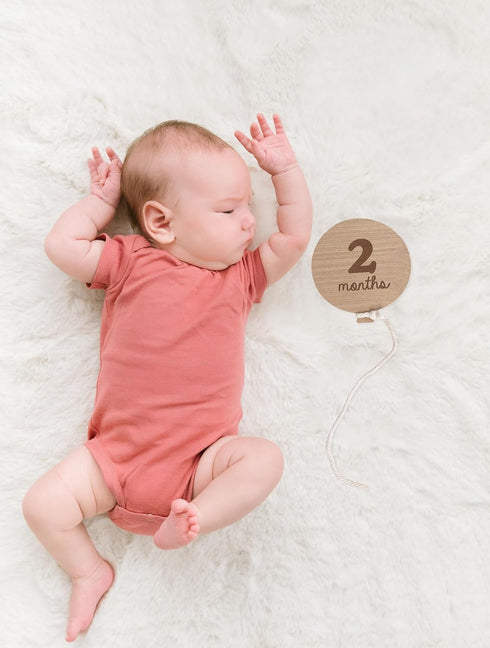 Kate & Milo Baby Monthly Milestone Marker Discs, Reversible Photo Props, Growth Cards, 1-12 Months, Gender-Neutral