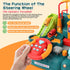 2026 3 4 5 6 3-5 Upgraded Car Adventure Toy for Year Old Boys Girls, Race Track Toy with Steering Wheel & Sound