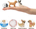 Toymany 12PCS Mini Dog Figurines Toy Set, Realistic Detailed Plastic Puppy Figures, Cake Toppers Gift