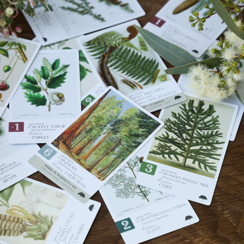 8+ 1-5 45-90 Botany: Tantalizing Trees Expansion | Family Strategy Game for Young Botanists and Adults | Ages |