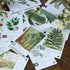 8+ 1-5 45-90 Botany: Tantalizing Trees Expansion | Family Strategy Game for Young Botanists and Adults | Ages |