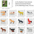 Farm Animal Toys with Flash Cards - 12 Sets of Realistic Figures, Educational Cognitive Toys for Toddlers