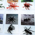 MEROCO Montessori Animal Match, Insect Animal Figurines with Matching Cards for Preschool Learning Toy NEWT008