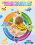 37 3-8, Baobrava Preschool Learning Activities, Themes Tracing Activity Books Ages Toddler Handwriting Practice, Letter