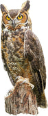 Madd Capp: I AM Great Horned OWL - 300 Piece Jigsaw Puzzle, Bird-Shaped Puzzle, 29x12 Finished Size, Includes Fun Fact Booklet
