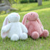 Farnesaa 2Lbs 16" Weighted Stuffed Animal Bunny, Weighted Stuffed Animals Rabbit, Heatable and Coolable Plushies, White