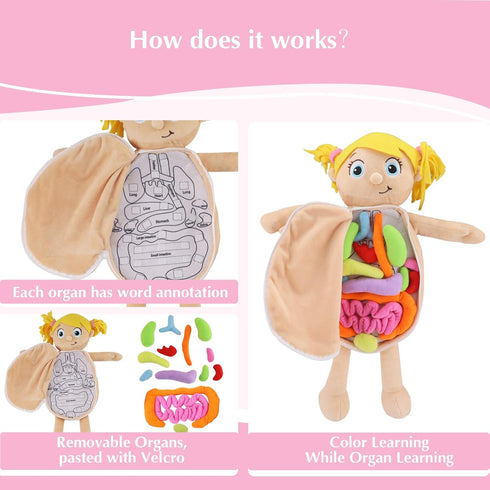 vocheer Human Body Anatomy Toy, Montessori Educational Organ Plush Toys for Kids, Science Learning Kits