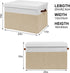 Gowee Closet, 25"x13" x16" Large Toy Storage Box with Lid, Sturdy Toys Storage Chest Bin Organizer Basket with Dividers