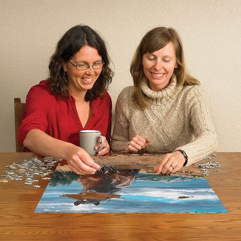 Cobble Hill 1000 Piece Puzzle - Freedom - Sample Poster Included