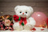 12 Inches HollyHOME Teddy Bear Stuffed Animal Rose Bear with Red Bow Soft Plush Toy Holiday Toy Gift White