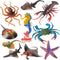 10Pcs Ocean Animals Toys Figures, Large Plastic Sea Creature Figurines Seahorse Starfish