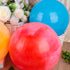 FUTUREPLUSX Large Bouncing Balls, 14inch Marbleized Bouncy Balls 2PCS with Hand Air Pump for Beach Game Fun.