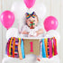 Mexican Fiesta 1st Birthday Party Decor, Highchair Banner, Glitter Cake Topper & Hair Bow for First Birthday