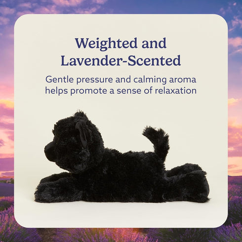 warmies Microwavable & Weighted Stuffed Animals, Black Cat - Heated Stuffed Animal Plushie for Warmth & Comfort - Cute