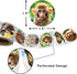 Animal Stickers for Kids, Realistic Jungle Animal Safari Zoo Labels for Toddlers Party Favors, 200Pcs Per Roll